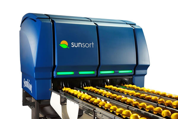 SunSort Grading Technology